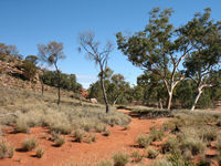 We take the track to Lasseter's Cave